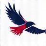 Falcon Sports Management Logo